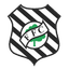 Figueirense SC Youth - Team Figueirense Sc Youth 299017 Results
