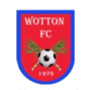 Wotton FC - Blackbirds VS Wotton Fc Live Score Today