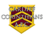Cardiff Corinthians AFC - Team Cardiff Corinthians Afc 362320 Scores