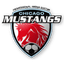 Chicago Mustangs (w) - Team Chicago Mustangs W 348851 Live Score Today