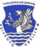 TJ Partizan Domaniza - Kanianka VS Tj Partizan Domaniza Result Today