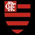 CR Flamengo (RJ) Youth - Player Thiagomedeiros De Carvalho 971987 298025 Sport