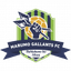 Marumo Gallants FC - Za Premier League 32468 Football Live