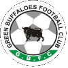 Green Buffaloes (w) - Women VS Zesco Ndola Girls W Live Score