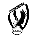 Parramatta FC U20 - U VS Hurstville Fc U Result Today