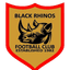 Black Rhinos - Team Black Rhinos 329949 Football Live Score