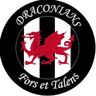 Cardiff Draconians FC - Team Baglan Dragons 359757 Live Result