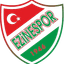 Ezinespor - Team Ezinespor 385027 Live Score Today
