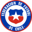 Chile U19 - Team Chile U 312384 Football Live Score