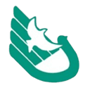 South China Normal University High School U13 - U VS Dingnan Dream U Result