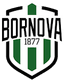 Viven Bornova - Team Viven Bornova 363869 Football Result