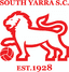 South Yarra - Team South Yarra 347861 Sport