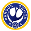 Bangor Swifts Women - Team Bangor Swifts Women 346469 Live Football