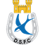 Dungannon Swifts - Team Dungannon Swifts 302906 Football Live Score