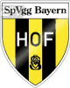 Bayern Hof - Fv VS Bayern Hof Live Score Today