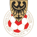 Dolnoslaski (Am) - Canton VS Dolnoslaski Am Score