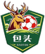 Baotou Team - Inner Mongolia Super League 36574 Football Score