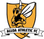 Alloa Athletic - Team Falkirk 301631 Football Result