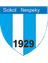 Sokol Nespeky - Team Doksy 330235 Football Live Score