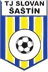 Slovan Sastin Straze - Team Slovan Sastin Straze 367717 Sport