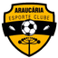 Araucaria ECR U20 - Team Araucaria Ecr U 300423 Live Score