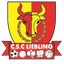 CSC Liebling - Team Csc Liebling 363648 Live Football