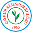 Caykur Rizespor - Team Caykur Rizespor 304254 Live Result