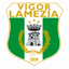 Vigor Lamezia U19 - Team Vigor Lamezia U 386965 Football Live Score
