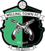 Welling Town - Live Team Welling Town 349617