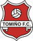 Tomino W - Team Victoria Cf Coruna Women 359991 Live Result