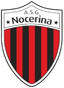 Nocerina - Team Nocerina 309006 Football