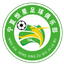Shizuishan Hengxing Football Club U15 - Cyfl U 36513 Result