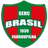 Brasil Farroupilha Women - Gremio W Scores