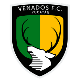 Venados FC Yucatán - Player W Guzman 245464 314576 Football Score
