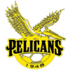 Pelicans SC - Sc VS Java Lane Sc Live Score Today