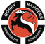 Gorey Rangers - Team Gorey Rangers 358163 Football Live Score