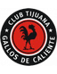 Gallos Caliente Tijuana - Team Gallos Caliente Tijuana 358562 Result