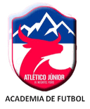 Atletico Junior Yoro - Vida VS Atletico Junior Yoro Live Score Today