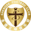 Tianjin Shengde Football Club - Live Team Tianjin Shengde Football Club 357798