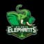 Atlanta Elephants FC - Team Atlanta Elephants Fc 348052 Scores