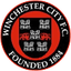 Winchester City - Team Winchester City 310643 Football Result