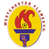 Westchester Flames - Star VS Westchester Flames Live Score Today
