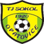 Sokol Opatovice - Live Team Sokol Opatovice 337191