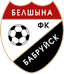 FC Belshina Babruisk - Team Fc Belshina Babruisk 301156 Live