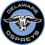Delaware Ospreys (W) - Team Delaware Ospreys W 386070 Live Score Today