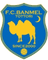 Banmel Tottori - Team International Pacific University 300764 Football Result