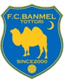 Banmel Tottori - Team Banmel Tottori 367313 Football Result