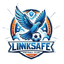 Ji'nan Linksafe - Live Cmcl 33263