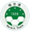 Heilongjiang Harbin Football Team - Team Heilongjiang Harbin Football Team 388344 Live Score Today