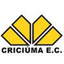 Criciuma U17 - Team Criciuma U 324543 Schedule